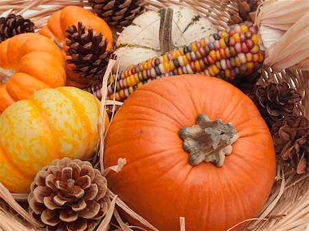 Close-up of yellow and orange decorative pumpkins with Indian corn and pine cones in straw. Good for Thanksgiving. Photographie de stock - Aubaine LD & Abonnement, Code: 400-05265316