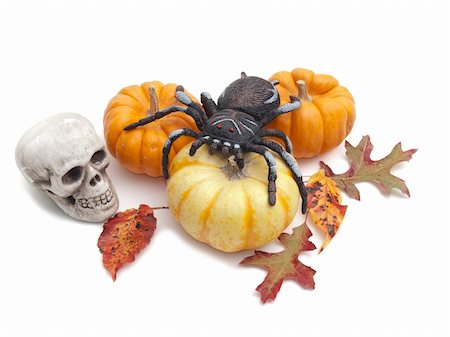 Collection of objects for Halloween decoration: miniature pumpkins, real Fall leaves, fake spider and small skull on white background Foto de stock - Super Valor sin royalties y Suscripción, Código: 400-05265318