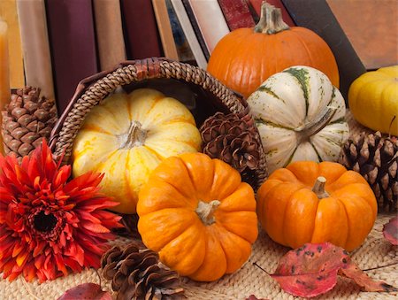Decorative small pumpkins and pine cones with row of old books behind. Photographie de stock - Aubaine LD & Abonnement, Code: 400-05265319