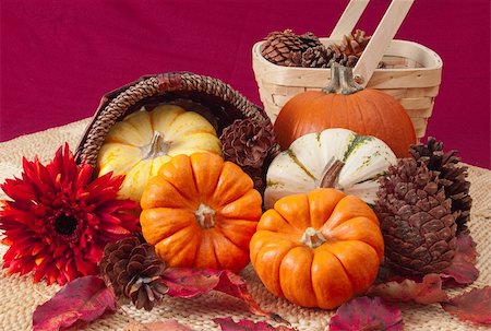 Still life of small ornamental pumpkins, and cone spilling from basket on woven straw mat. Background is deep red woven cloth. Photographie de stock - Aubaine LD & Abonnement, Code: 400-05265312