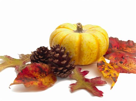 Ornamental yellow pumpkin surrounded by real autumn leaves and pine cones on white background Photographie de stock - Aubaine LD & Abonnement, Code: 400-05265323