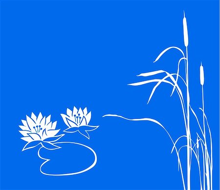 simsearch:400-04223809,k - water lily and reed on  blue background. vector Fotografie stock - Microstock e Abbonamento, Codice: 400-05265406