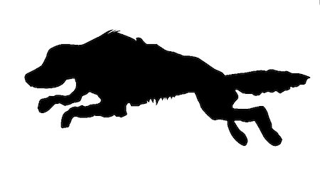 simsearch:400-05265453,k - vector silhouette of the runninging dog on white background Stockbilder - Microstock & Abonnement, Bildnummer: 400-05265416