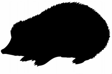 simsearch:400-05253713,k - vector silhouette of the hedgehog on white background Stock Photo - Budget Royalty-Free & Subscription, Code: 400-05265452