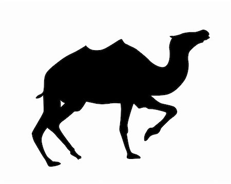 desert drawing - vector silhouette camel on white background Stock Photo - Budget Royalty-Free & Subscription, Code: 400-05265463