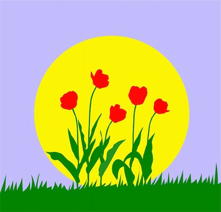 simsearch:400-04223806,k - vector illustration tulip against sun Stock Photo - Budget Royalty-Free & Subscription, Code: 400-05265481
