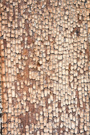 Alligator-skin pattern of cracked paint on an old wall vertical Foto de stock - Super Valor sin royalties y Suscripción, Código: 400-05266189