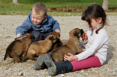 simsearch:400-04767909,k - two children and very young puppies belgian shepherds Foto de stock - Super Valor sin royalties y Suscripción, Código: 400-05266422
