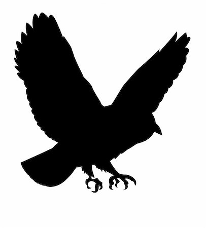 simsearch:400-05330279,k - vector silhouette of the ravenous bird on white background Photographie de stock - Aubaine LD & Abonnement, Code: 400-05266758