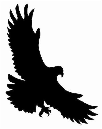 falcon bird symbol wings - vector silhouette of the ravenous bird on white background Stock Photo - Budget Royalty-Free & Subscription, Code: 400-05266779
