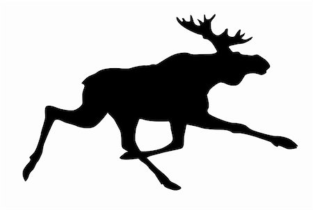 vector silhouette moose on white background Stock Photo - Budget Royalty-Free & Subscription, Code: 400-05266780