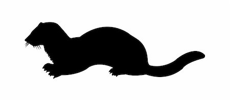 sablé - vector silhouette of the marten on white background Stock Photo - Budget Royalty-Free & Subscription, Code: 400-05266794
