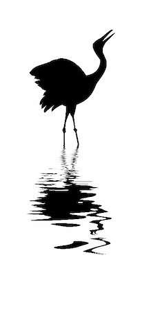 silhouette of the crane on white background Stock Photo - Budget Royalty-Free & Subscription, Code: 400-05267230