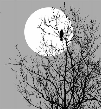 vector  illustration ravens sitting on tree against sun Photographie de stock - Aubaine LD & Abonnement, Code: 400-05267246
