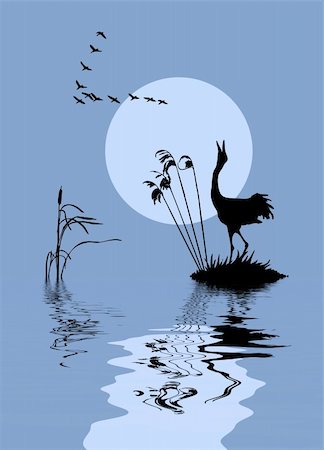 picture of cartoon bird crane - vector silhouette of the birds on lake Stock Photo - Budget Royalty-Free & Subscription, Code: 400-05267248