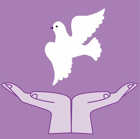 vector  illustration of the dove in hand Stock Photo - Budget Royalty-Free & Subscription, Code: 400-05267254
