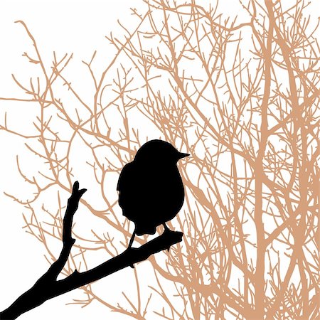 painting abstract bird - vector silhouette of the bird on branch Stock Photo - Budget Royalty-Free & Subscription, Code: 400-05267259