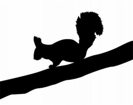 simsearch:400-04543131,k - illustration of the squirrel on white background Stock Photo - Budget Royalty-Free & Subscription, Code: 400-05267281