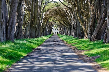 Point Reyes National Seashore, CA: A cypress drive way approaches the Historic RCA building (1929) that housed one of the most powerful radio transmitters of its era. The call sign was KPH. Foto de stock - Royalty-Free Super Valor e Assinatura, Número: 400-05267728