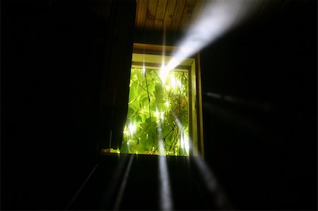 fenêtre sur le monde - Morning summer rays of hope make the way in a window through foliage. Photographie de stock - Aubaine LD & Abonnement, Code: 400-05268234