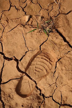 simsearch:400-04634607,k - dried land Fotografie stock - Microstock e Abbonamento, Codice: 400-05268349