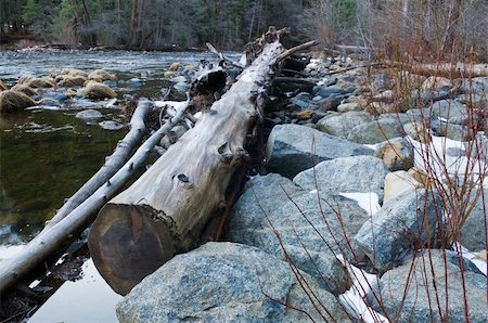 Fallen log along the Merced River, Yosemite National Park, California Foto de stock - Super Valor sin royalties y Suscripción, Código: 400-05269936