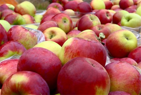 simsearch:400-05033339,k - Fresh picked apples ready for sale Stock Photo - Budget Royalty-Free & Subscription, Code: 400-05260480