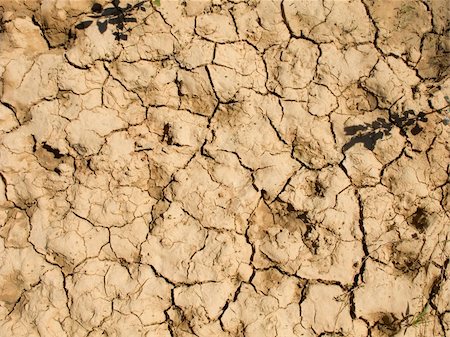 earth surface arid - drought land in the fields of catalonia Stock Photo - Budget Royalty-Free & Subscription, Code: 400-05261179