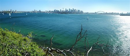 panorama photo of Sydney scenery, CBD, Sydney Tower and Harbor bridge visible Stock Photo - Budget Royalty-Free & Subscription, Code: 400-05262755