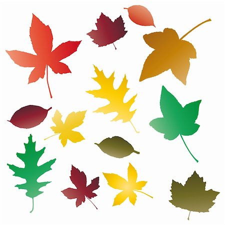 simsearch:400-04752261,k - Autumnal concept background, vector leaves. Photographie de stock - Aubaine LD & Abonnement, Code: 400-05262966