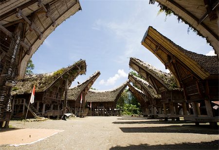 Toraja village with traditional houses in a row, Toraja, Sulawesi, Indonesia Stock Photo - Budget Royalty-Free & Subscription, Code: 400-05263041