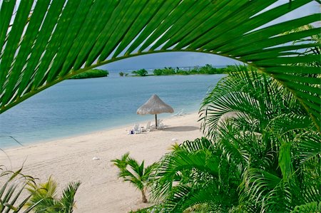 simsearch:400-05899222,k - Sunny beach in a tropical island Photographie de stock - Aubaine LD & Abonnement, Code: 400-05263051