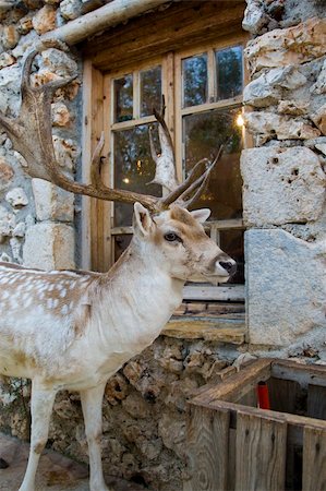 Photo is shot in a natural park in Zakynthos Island - a summer holiday destination in Greece Stockbilder - Microstock & Abonnement, Bildnummer: 400-05263791
