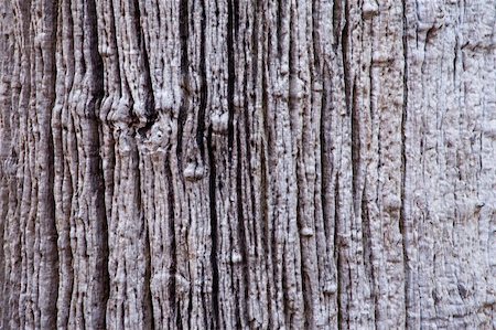 simsearch:400-04768250,k - Old wooden walls Stock Photo - Budget Royalty-Free & Subscription, Code: 400-05274545