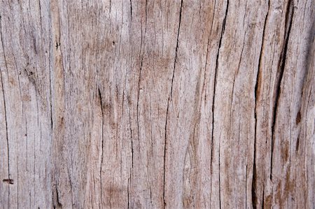 simsearch:400-07481861,k - Old wooden walls Stock Photo - Budget Royalty-Free & Subscription, Code: 400-05274542