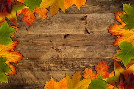 Many leaves on a wood background make a frame Photographie de stock - Aubaine LD & Abonnement, Code: 400-05275176
