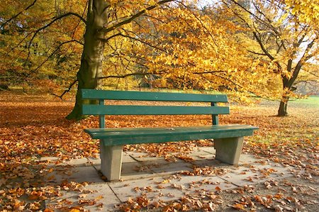 empty green color background - Bench in an autumnal park Photographie de stock - Aubaine LD & Abonnement, Code: 400-05275290