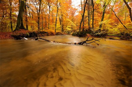 simsearch:400-04276166,k - autumn by a river running through a forest Foto de stock - Royalty-Free Super Valor e Assinatura, Número: 400-05275602
