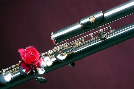 A bass flute and red rose isolated against a purple background in the horizontal format. Stock Photo - Budget Royalty-Free & Subscription, Code: 400-05276037