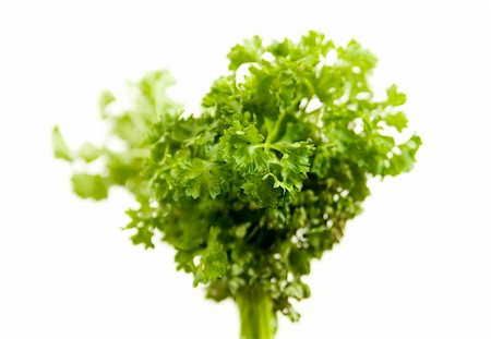 simsearch:400-05919877,k - Isolated detail of a bundle of fresh parsley. Stock Photo - Budget Royalty-Free & Subscription, Code: 400-05276071