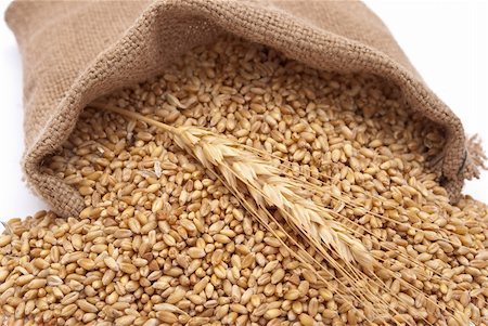 The scattered bag with wheat of a grain Stock Photo - Budget Royalty-Free & Subscription, Code: 400-05277202