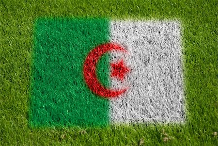 fairplay - flag of algeria on grass with spray Stockbilder - Microstock & Abonnement, Bildnummer: 400-05278415