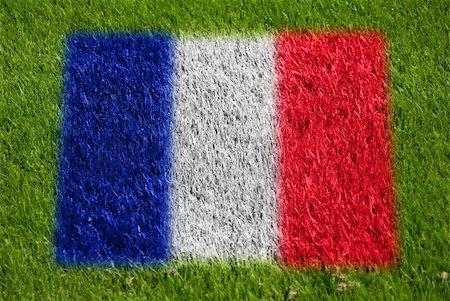 fairplay - france of mexico on grass with spray Stockbilder - Microstock & Abonnement, Bildnummer: 400-05278424