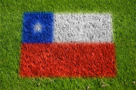 fairplay - flag of chile on grass with spray Stockbilder - Microstock & Abonnement, Bildnummer: 400-05278420