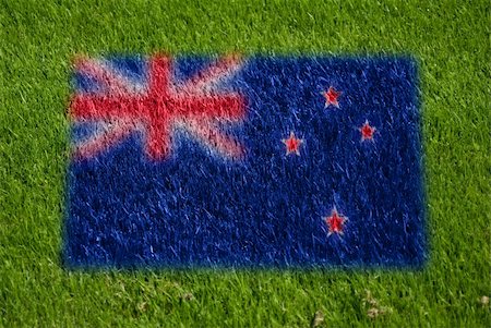 fairplay - flag of new zealand on grass with spray Stockbilder - Microstock & Abonnement, Bildnummer: 400-05278435