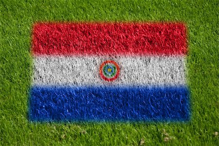 fairplay - flag of paraguay on grass with spray Stockbilder - Microstock & Abonnement, Bildnummer: 400-05278437