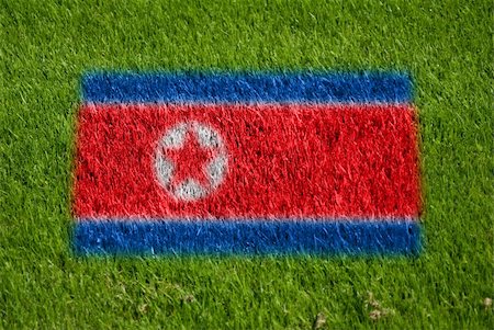 simsearch:400-05278443,k - flag of korea dpr on grass with spray Fotografie stock - Microstock e Abbonamento, Codice: 400-05278431