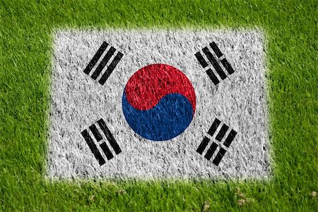 fairplay - flag of korea on grass with spray Stockbilder - Microstock & Abonnement, Bildnummer: 400-05278432