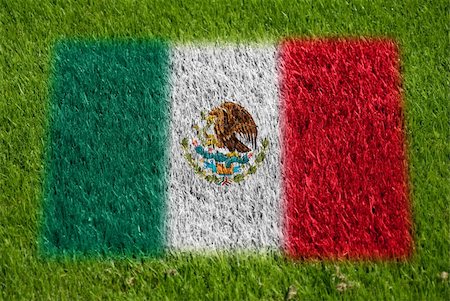 fairplay - flag of mexico on grass with spray Stockbilder - Microstock & Abonnement, Bildnummer: 400-05278433