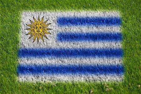 fairplay - uruguay of mexico on grass with spray Stockbilder - Microstock & Abonnement, Bildnummer: 400-05278445